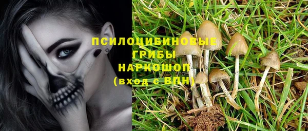 дурь Заволжье