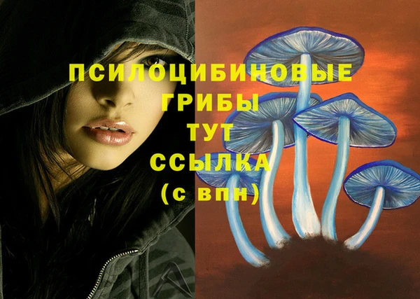дурь Заволжье