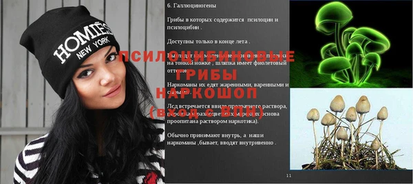 молекула духа Заволжск